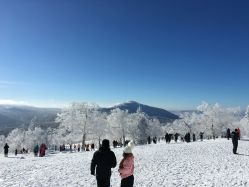 -大秃顶子山