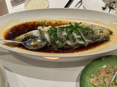 -南麓·浙里(外滩店)