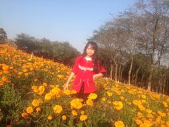 -松山湖梦幻百花洲