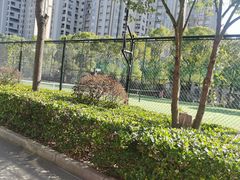 -体汇+名都体育公园足球场