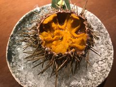 活海胆-千代武日本料理(哈西店)