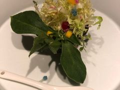 莲心漫漫-叶叶菩提·晋福宫