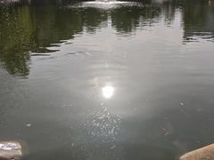 -莲湖公园