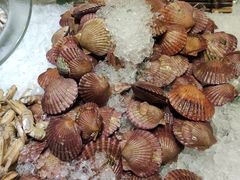 -郑州希尔顿酒店·阿米奇意大利餐厅