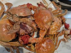 -半岛听涛蒸汽海鲜自助(K11店)