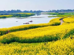 -宁波杭州湾国家湿地公园