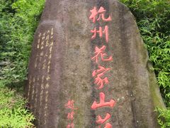 -杭州花家山庄