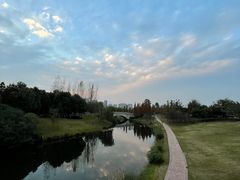 -眉山湿地公园(东坡区)