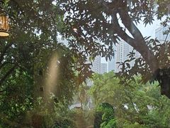 -随园花园餐厅(新港中路店)