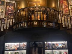 -雪灵魔法世界SHELLY’S TAROT(大良桂畔里店)