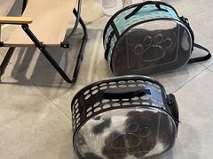 -伟伟宠物医院·CT影像中心·瑞派犬猫综合性门诊(汉口总院)