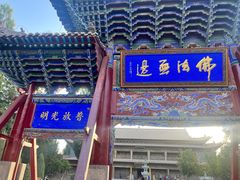 -张掖大佛寺景区