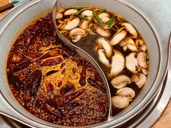 -青瓷火锅料理(西单大悦城店)