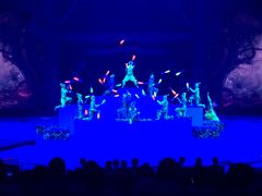 -珠海横琴长隆《卡卡虎奇遇记》