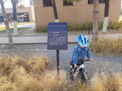 -汉长安城未央宫国家考古遗址公园