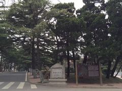 -八大关景区