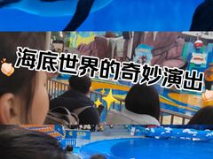 -海合安成都极地海洋公园