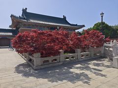 -上海交通大学(闵行校区)