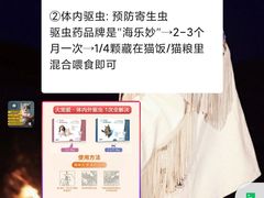 -lincat·猫舍(广州店)