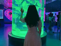 -左海海底世界