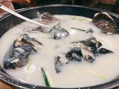 白汤鱼头-丰乐餐厅·始于1999·本地老字号