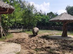 -上海野生动物园