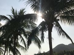 -亚龙湾国际玫瑰谷