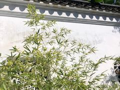 -奈雪的茶(观前街店)
