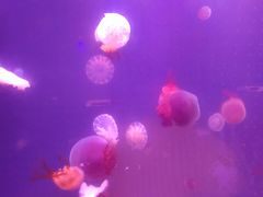 -欧亚达商业广场(红桥店)