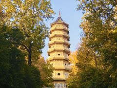 -灵谷景区