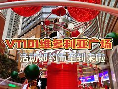-VT101维多利广场