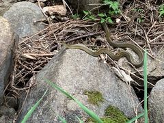 -碓臼峪自然风景区