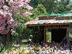 -HERRE·FARM 赫尔露营农场·团建聚会包场