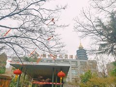 -听松楼·花园酒店·自助餐厅(红梅公园店)