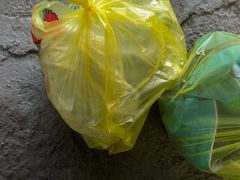 -马陆小张葡萄园农家乐