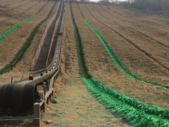 -原山国家森林公园