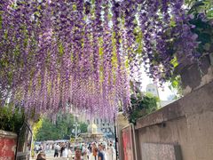 -天津意大利风情旅游区