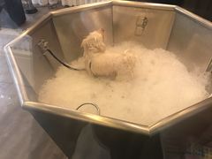 -PETKIT小佩宠物(古北店)