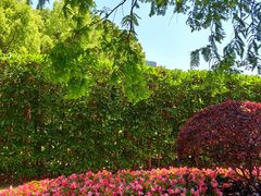 -上海交通大学(闵行校区)