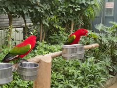 -南宫五洲植物乐园