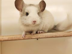 -龙猫仔乐园(惠福东路店)