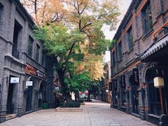 -绿地·中山里