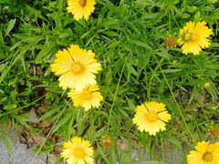 -镇江市南山风景名胜区竹林景区