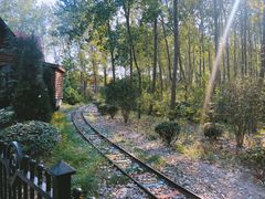 -合肥滨湖国家森林公园