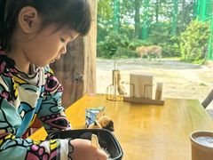 -上海野生动物园老虎餐厅