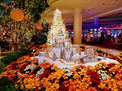 -拉斯维加斯永利酒店