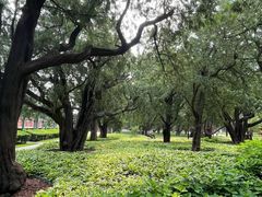 -北京市劳动人民文化宫(太庙)