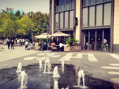 -The Rug Cafe(王府中环店)