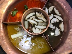 -老诚一锅羊蝎子(黄寺大街店)
