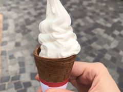-富豪雪糕车流动点(尖沙咀店)